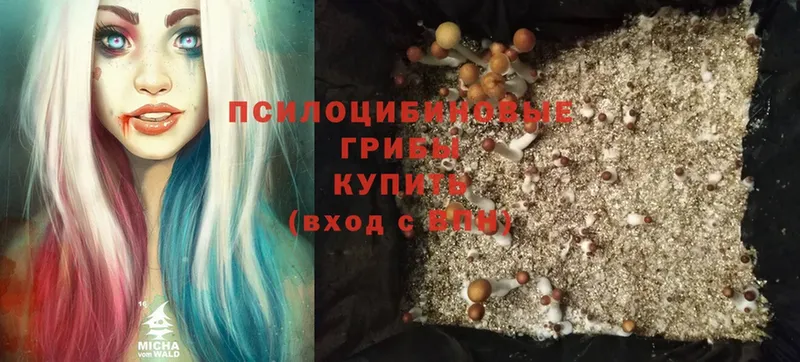 Псилоцибиновые грибы MAGIC MUSHROOMS  Качканар 